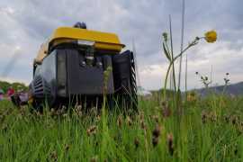 blog image
